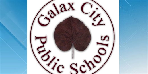 Galax school treated after fleas and wasps confirmed