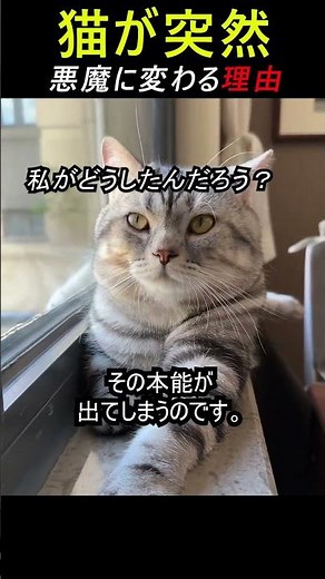 The cat turned into a demon