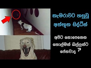 කැමරාවට හසුවූ හොල්මන් Part 21, Paranormal Activity ,kazzai ,holman, wishwa gaweshaka holman #holman