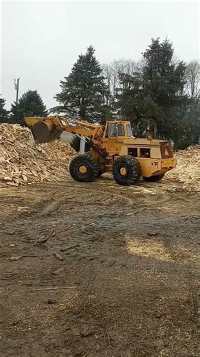 Case W-36 loader!!!!