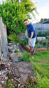 104K views · 1K reactions | #garden #gardening #flowers #plants #trees #gardenlife #gardeninspiration #plantcare | Gardening reels | Facebook