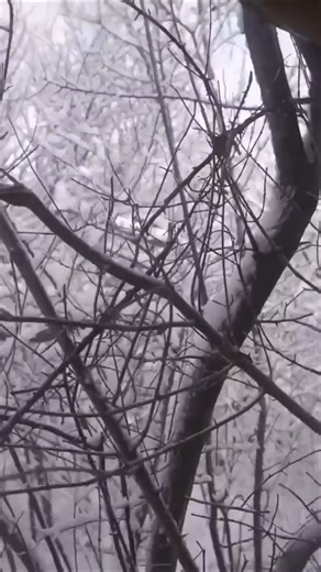 93K views · 853 reactions | Immediately crashed this mini off-road Hummer ! #flair #hummer | Andrew Flair | Facebook