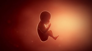 20K views · 181 reactions | Todo lo que siempre quisiste saber sobre el embarazo: | National Geographic | Facebook