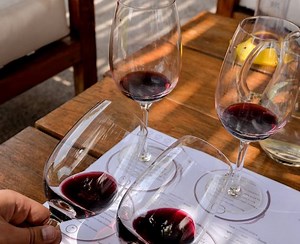 The basics of tasting wine