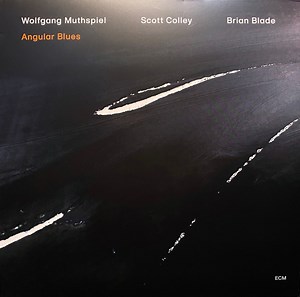 Wolfgang Muthspiel, Scott Colley / Brian Blade - Angular Blues