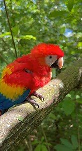 2.6K views · 129 reactions | Experience a heartwarming moment with a...