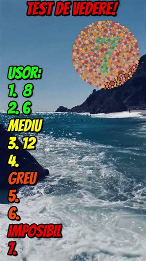 How many digits did you see? #knowledge #facts #learning #quiz #romania #vision #info