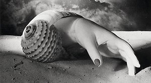 Focus on... "Shell-Hand" by Dora Maar