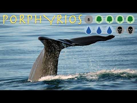 Porphyrios - The Terror of Late Antiquity