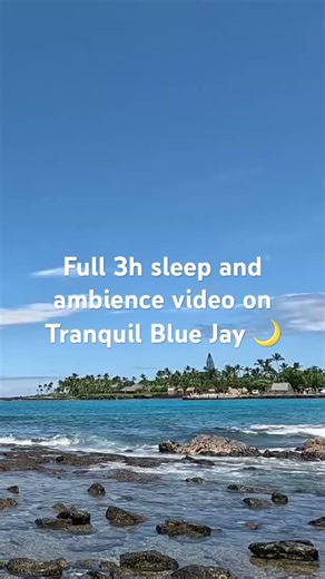 Kona Hawaii waves over lava rock 🌊 real ocean sounds #sleep #asmr #hawaii