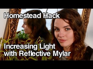 Homestead Hack #1: Increasing Light for Plants with Reflective Mylar