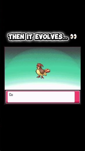 Pidgey’s Evolution Is INSANE 😳 #pokemon #pidgey #pokémon