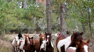 Roundup to bring in the 2022 Buybacks | DSC Photography