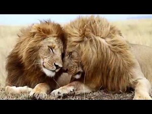 55 Full HD TV/Screen/Phones Wallpapers Set - 1920X1080