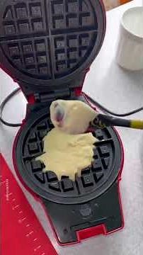 How to Make Waffles at Home | Homemade Easy Recpie