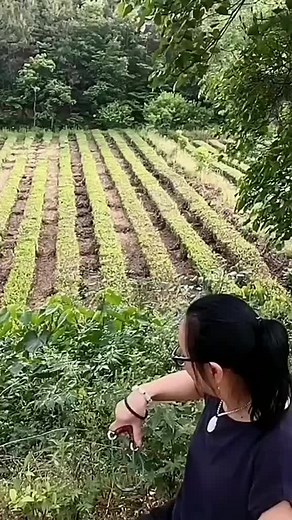 slingshotfunnycenter on TikTok