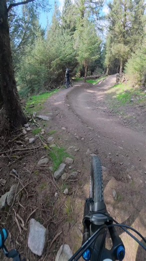 RADON Bikes: Fun Jumps & Dancing
