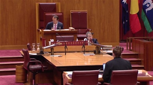 I’m an immigrant, and I love this country. Like many others who marched in the March for Australia, I came here legally, embraced the culture, and built a life as part of the Australian community—not separate from it. We weren’t born here, but we’re proud Australians. We’re tired of politicians pushing mass immigration without thinking about the social and economic hardship it causes. We’re fed up with being called racist or hateful just for wanting to protect our way of life, our jobs, and our 