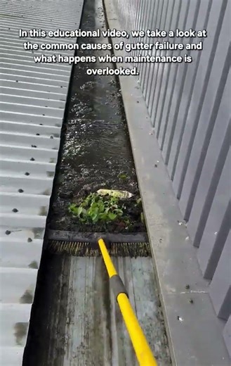 Why Gutters Fail: The Hidden Impact of Neglected Maintenance