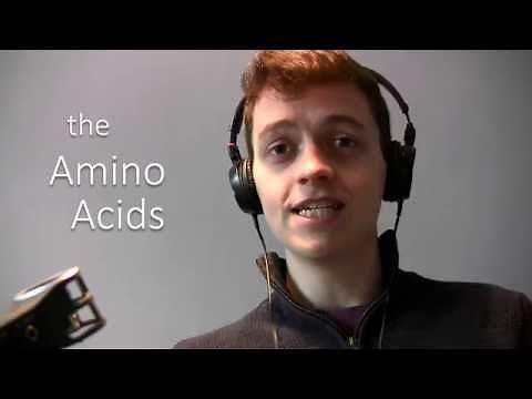 The Amino Acids Song