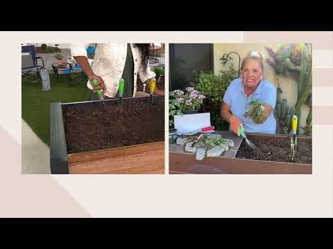 Ultimate Innovations Garden Buddy Multi-Function Garden Tool on QVC