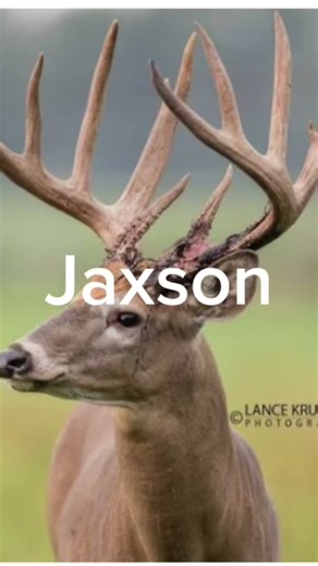 Your name your buck pt 9 #bowhunting #deerhunting