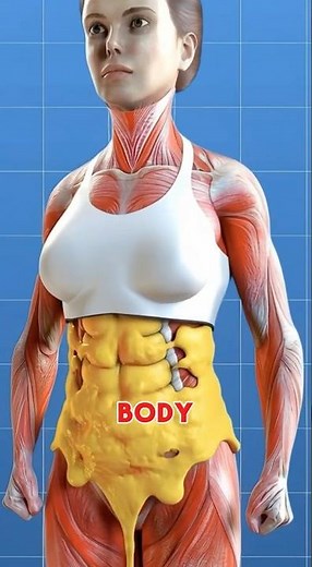 What happens inside your body when you water fast for 10 days #fasting #autophagy #ketones #insulin
