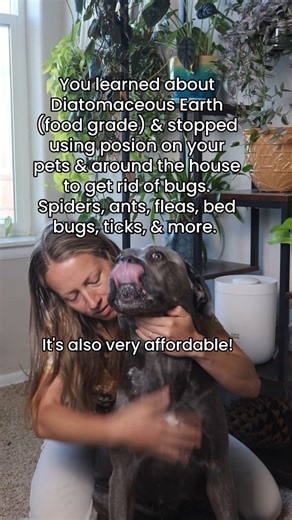ALWAYS USE FOOD GRADE! I have many videos on my tiktok explaining the difference between food and filter grade diatomaceous earth. Filter grade is for water filtration and contains high levels of crystalline Silica, not safe for breathing at all. Now food grade diatomaceous earth contains less than 1% of crystalline Silica, it is safe for human use and consumption but here is the catch, you don't want to be breathing in loads of this stuff, it will not cause permanent damage like filter grade, b