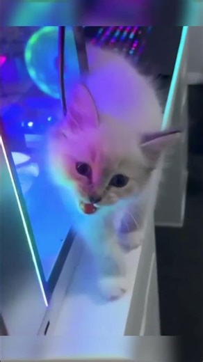 funny failures to make your day happier