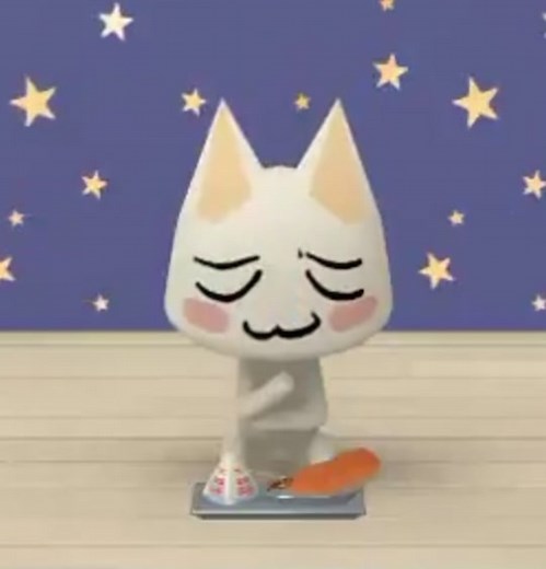 Toro Cat Enjoying School Lunch | Cute and Silly Cat Video