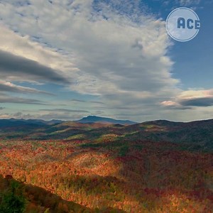 Sick of politicians pretending climate change isn’t happening? Join our squad, fight back, and take control of your future. | GoodPower