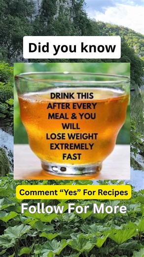 Smoothie Diet For Weight Loss on Instagram: "Get smoothies Diet Recipe Message Me For This. . . . . . . #weightlosssmoothie #lose #healthyfood #fruit #smoothierecipes #juicing #healthysmoothies #smoothie #smoothierecipes #raspberry #refreshingdrink #refresher #healthyrecipes #weightloss"