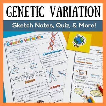 Genetic Variation, Chromosomes, & DNA | Sketch Notes, Quiz, CER, & Slideshow