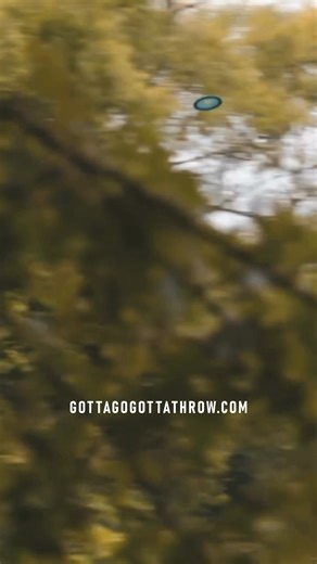 222K views · 2.8K reactions | Unleash Your Disc Golf Potential with...