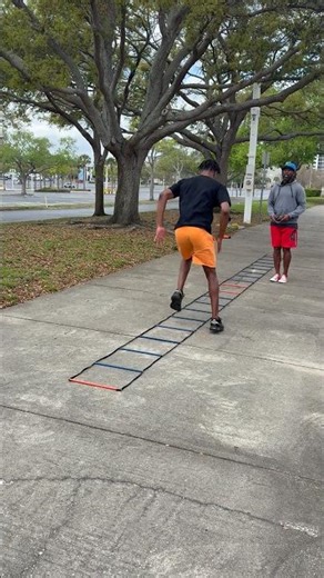 Pro Builder Fitness Inc Personal Training Athletic Training St Pete Tampa Bradenton Sarasota FL