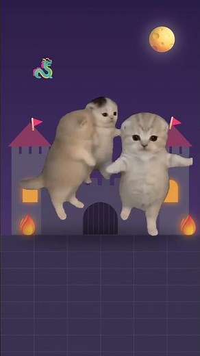 Kittens dancing in a CASTLE like it's nothing 🏰😹