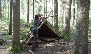 Survival Cabin Building: Expert Guide and Tips