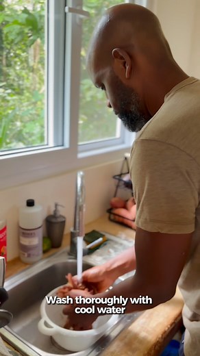 19 reactions · 8 comments | I use Irish Sea Moss in my daily smoothies. When I first started I was running into the issue of it spoiling before I was able to use it all. I started making Irish Sea Moss Ice Cubes a while back and it’s been a game changer. How do you preserve your Irish Sea moss? #dwightlight #dwightlight1 #irishseamoss #irishmoss #drsebi #healthiswealth #smoothiesfordays | Dwight Light | Facebook