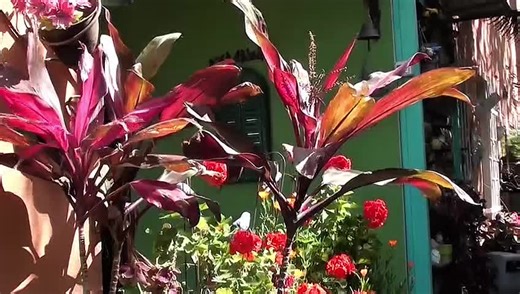 ‏It’s not about what you look at, It’s about what you see.