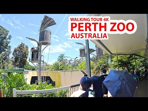 Walking Tour 4K: Perth Zoo, Australia (Walking the entire venue, amazing natural habitat)