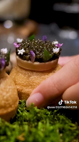 The Bizarre 50 Course, 7 Hour Meal at Alchemist