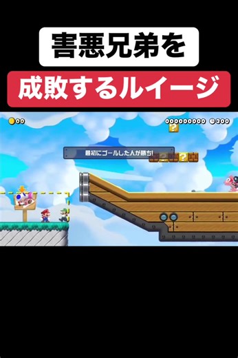 ルイージの逆襲 ディレクターズカット — 害悪兄弟を成敗するルイージ