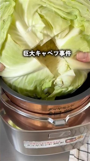 大家族大人6人で200円！？\\炊飯器×絶品おかず/丸ごとキャベツ