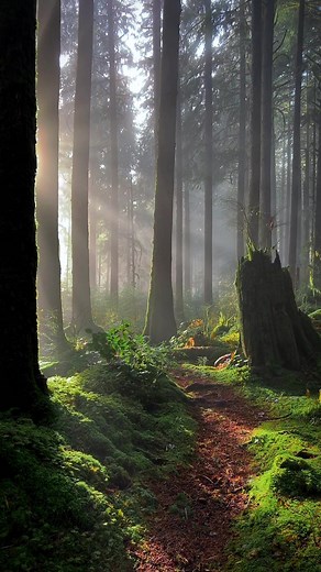 Drinking Poison from the Same Vine