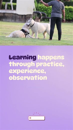 What is Learning | Define Learning