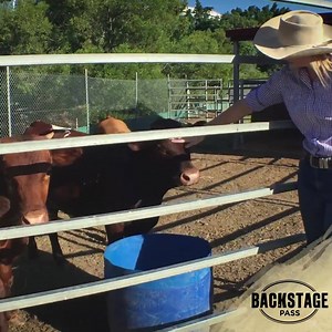 6.3K views · 191 reactions | Experience a behind the scenes tour of Australia’s number one world class live theatrical production, Salute to the Light Horse at the Australian Outback Spectacular. #LightHorseAOS bit.ly/2cpxgAJ | Australian Outback Spectacular - Gold Coast, Australia | Facebook