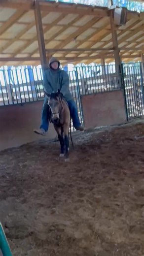 Johnny Cook on Reels