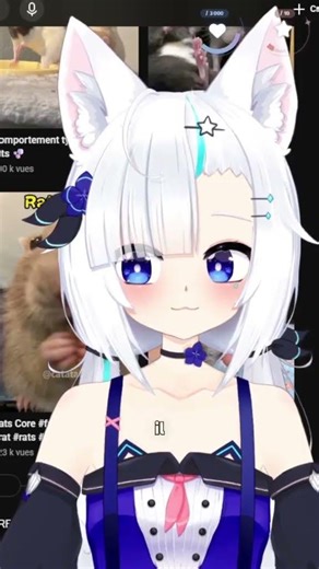 RIP le clavier #vtuberfr #shiholitchi #chill #anecdote #destruction #vtuber #french