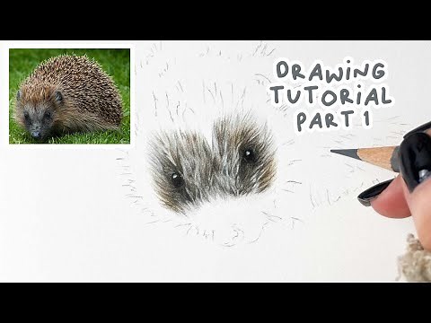 How to Draw a Realistic Hedgehog | Hedgehog Coloured Pencil Tutorial Part 1