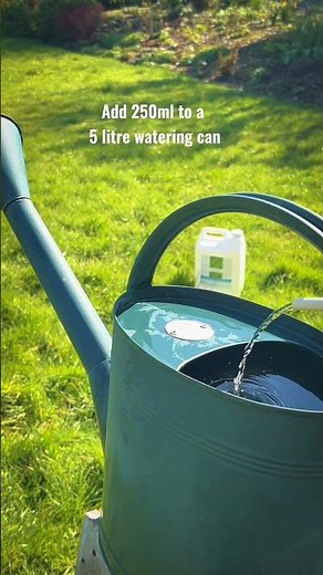 Lawn drainage without the digging - simple hack